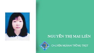 Nguyễn Thị Mai Liên