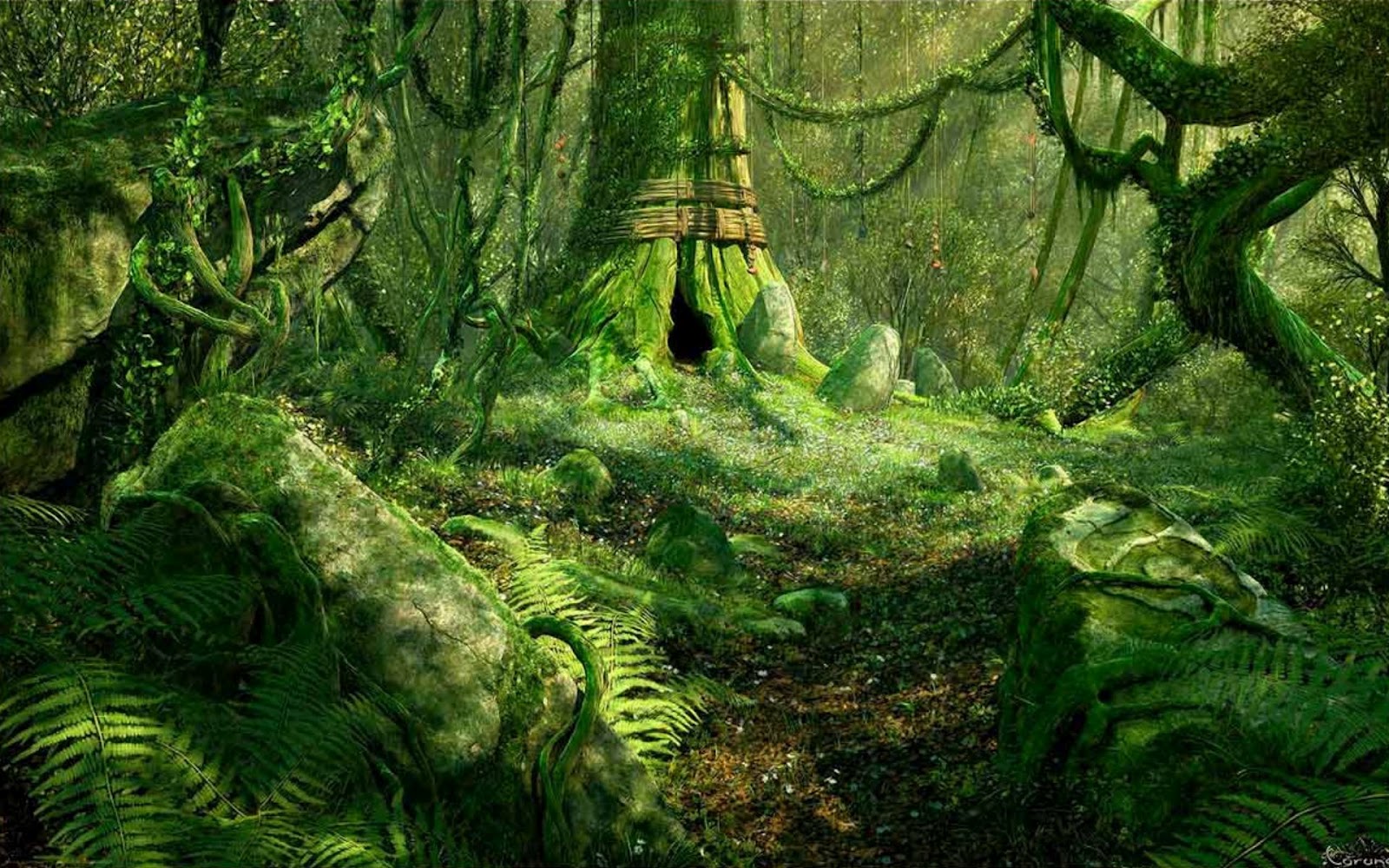 El Bosque Mágico DB1