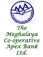 Meghalaya Co-operative Apex Bank Limited