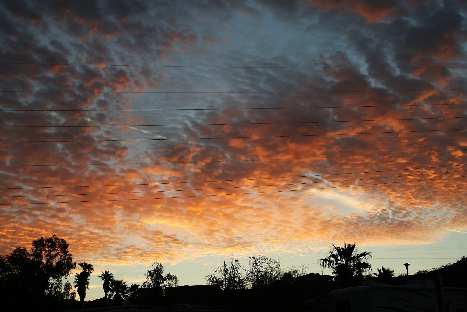 happy st patricks day lassie