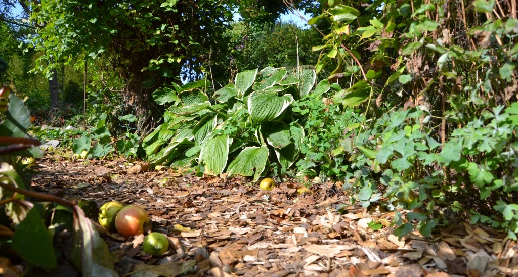 aus B wird HVL Offene Gärten Eiskeller in Spandau