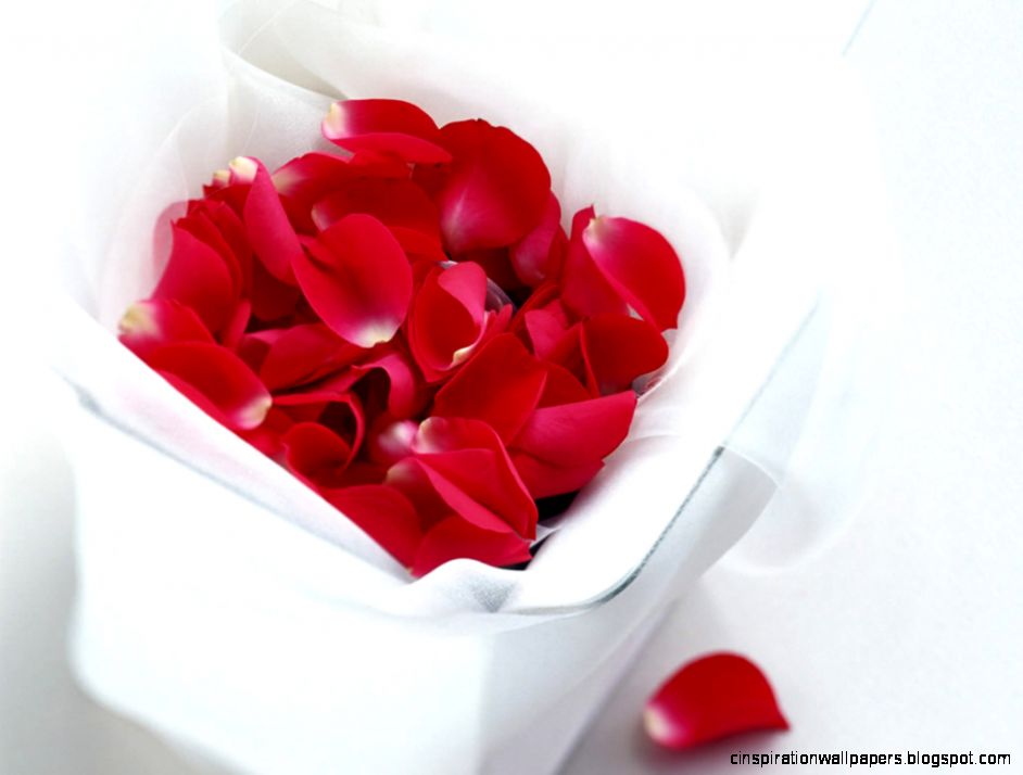 Google Red Roses Valentines