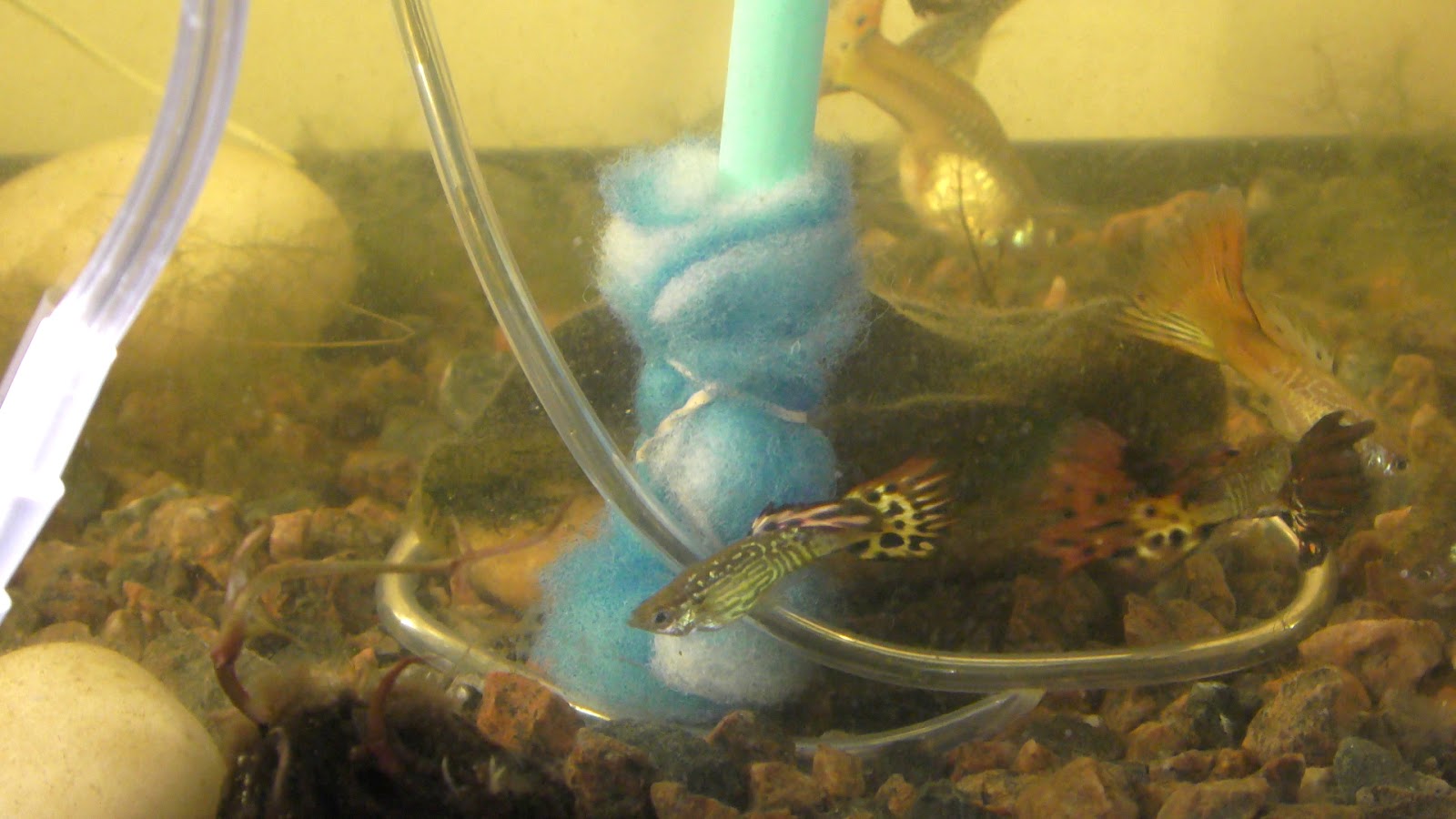 Random Bits DIY Aquarium Sponge Filter