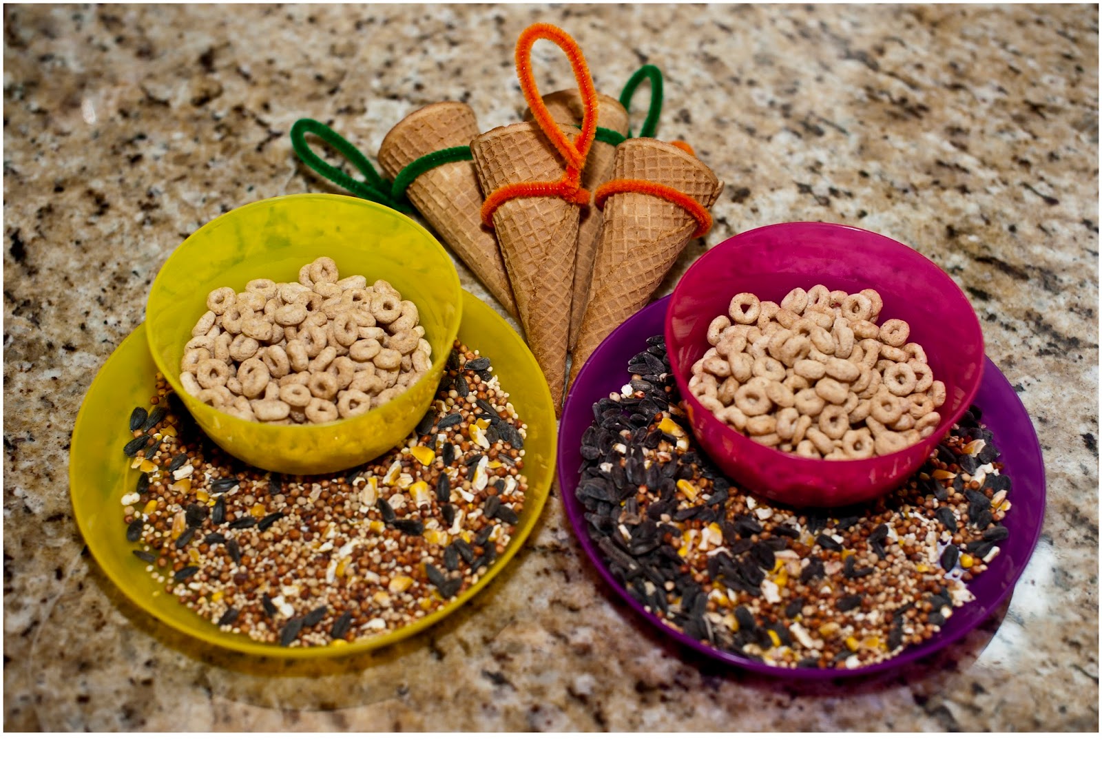 Think Outside the Toy Box Summer Series: Waffle Cone Bird Feeder