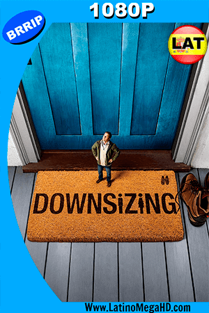 Pequeña Gran Vida (2017) Latino HD 1080P (2017)