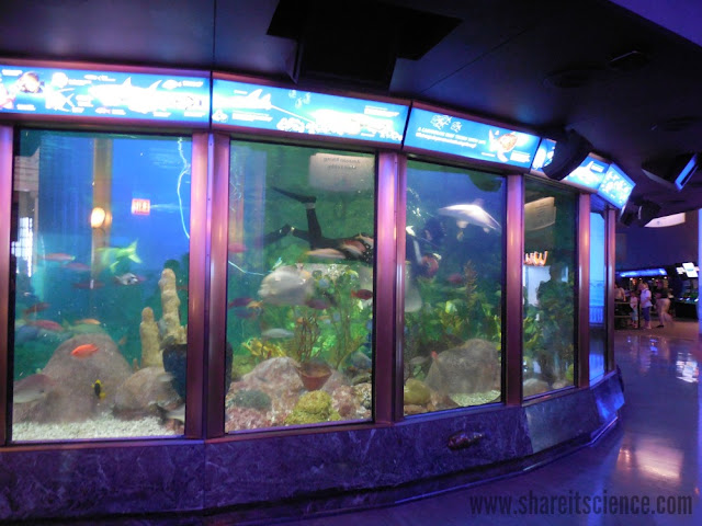 Learn at the Shedd Aquarium, in person or online