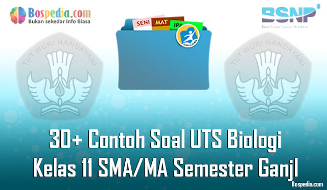 30+ Contoh Soal UTS Biologi Kelas 11 SMA/MA Semester Ganjl Terbaru