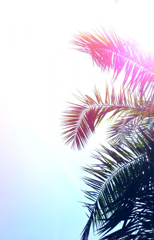 Iphone Wallpaper Tumblr Photos D1W »