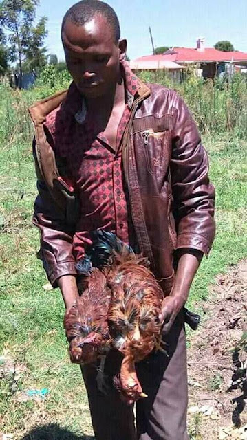 hyui Photo: 33-year-old man 'rapes' his neighbor's two hens to death in Kenya