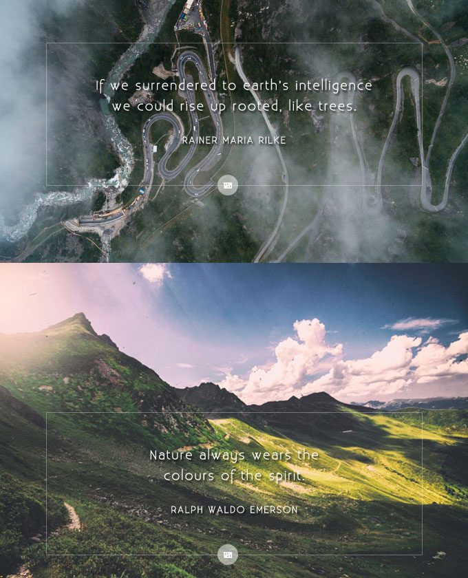 Quote Design Wailing of a Mountain Man Lost in a Concrete Jungle