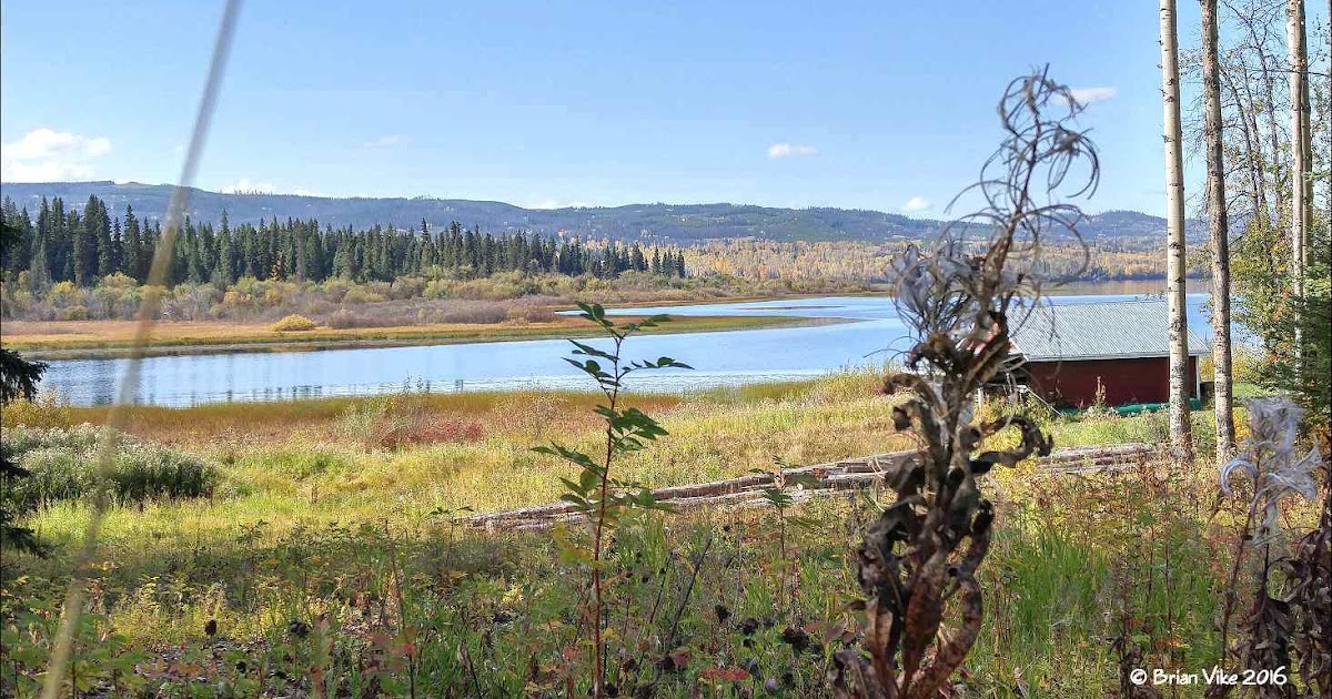 Northern Interior British Columbia Fall Season At Rose Lake British Columbia (Pictures)