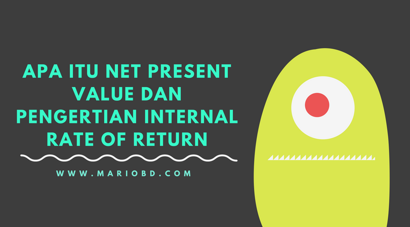Apa Itu Net Present Value Dan Pengertian Internal Rate Of Return Mario Bd