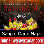 https://www.humaliwalyazadar.com/2018/09/sangat-dar-e-najaf-nohay-2019.html