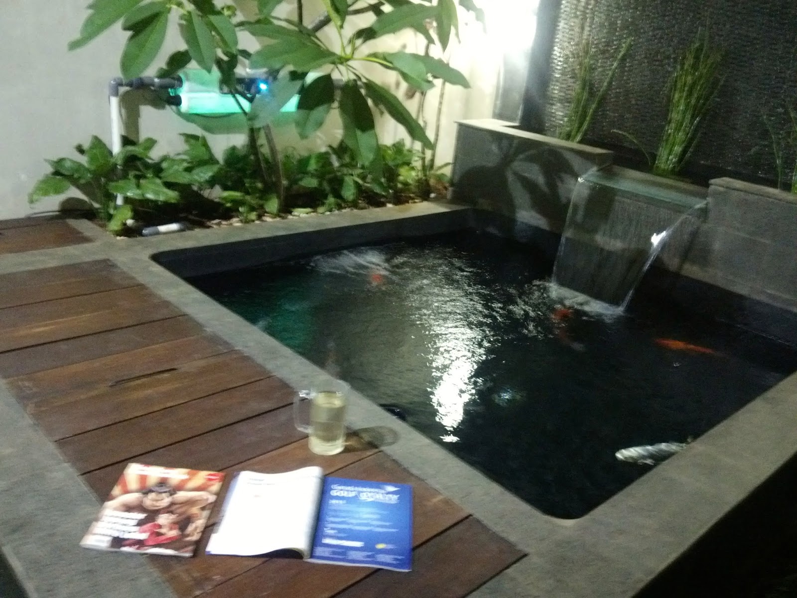 Anoxic Filtration System An update on Yogas’s pond in Indonesia and