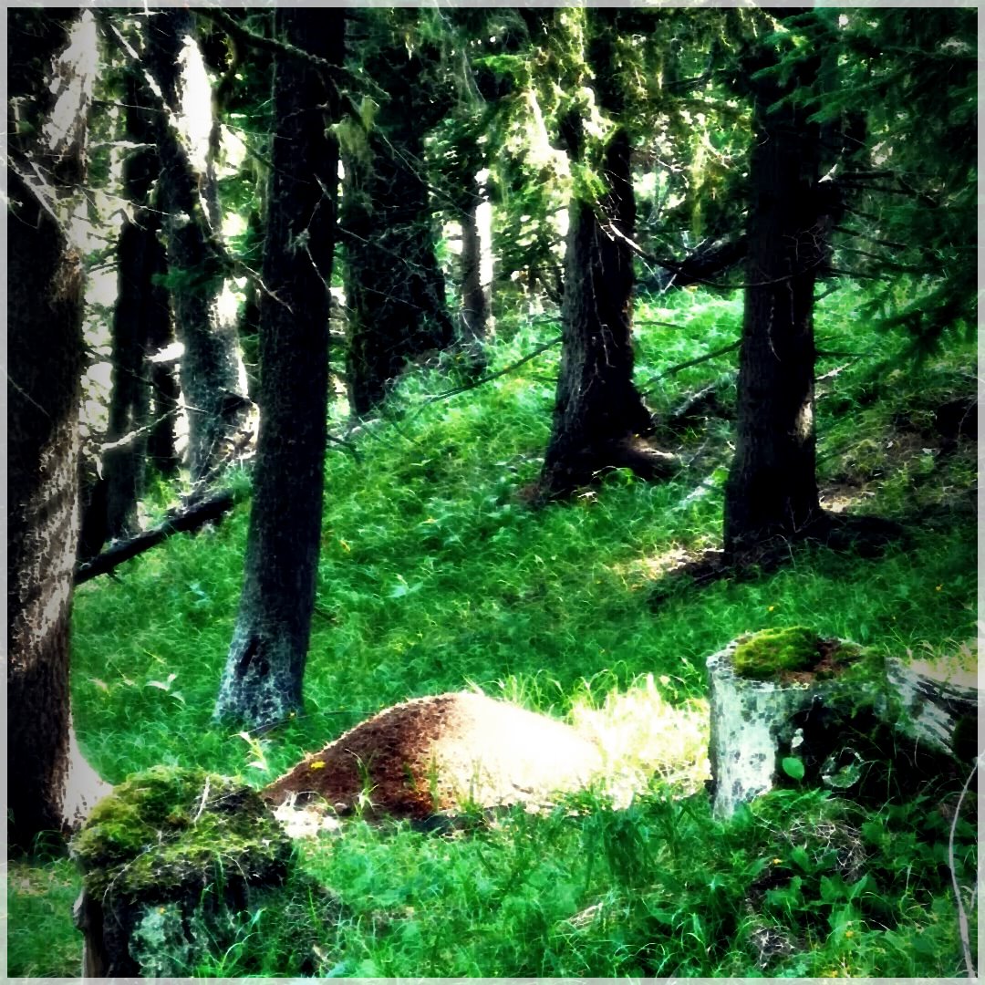 HikingLife-13199364306