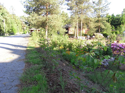 Havelykke's blog: Sommerterrasse og udekøkken