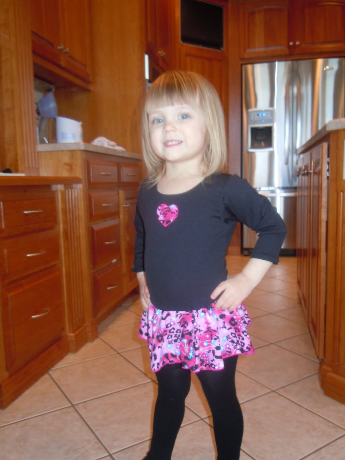 Emmy's life My new fancy gymnastics leotard