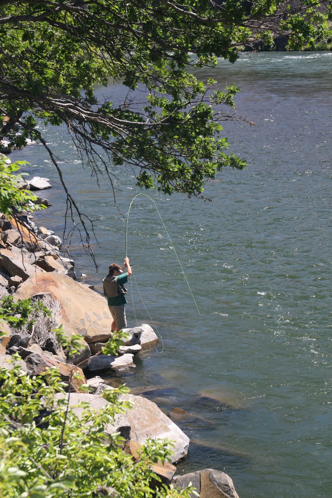 Oregon Fly Fishing Report by Larimer Outfitters How To Rob A Bank