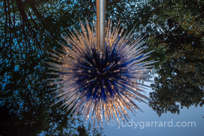 Chihuly Sapphire Star