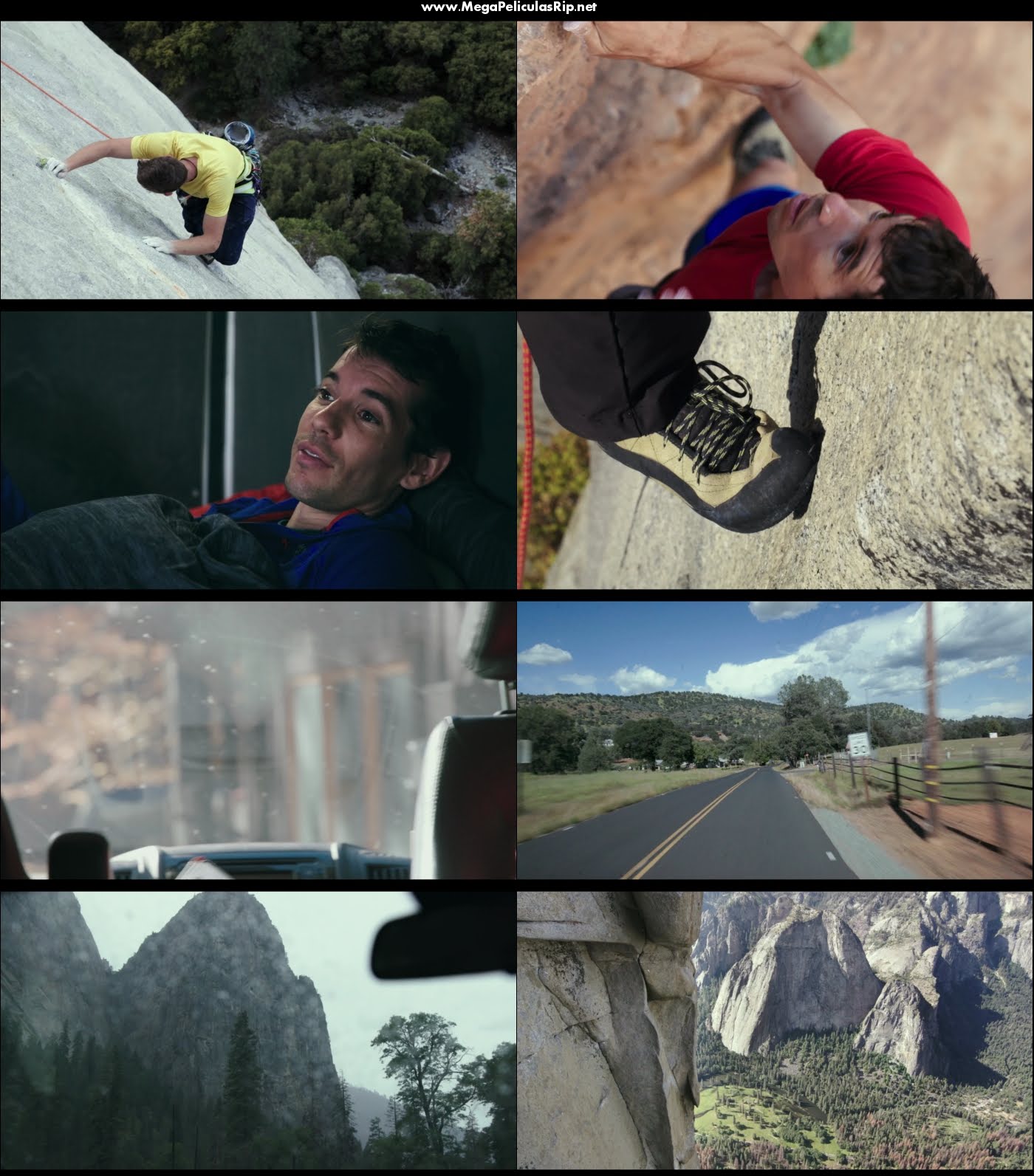 Free Solo 1080p Latino