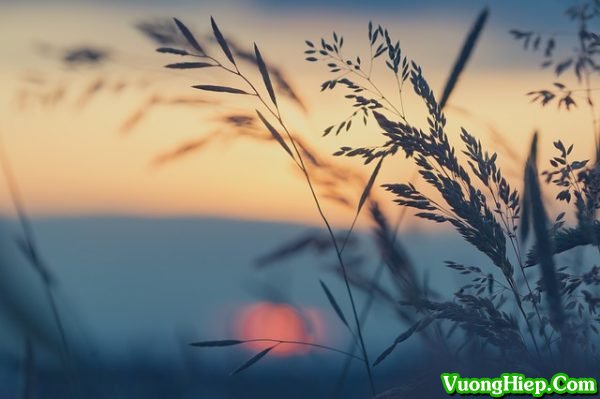 Gặp Gỡ Rồi Cũng Phải Chia Ly, Hãy Trân Quý Những Tháng Ngày Của Hiện Tại