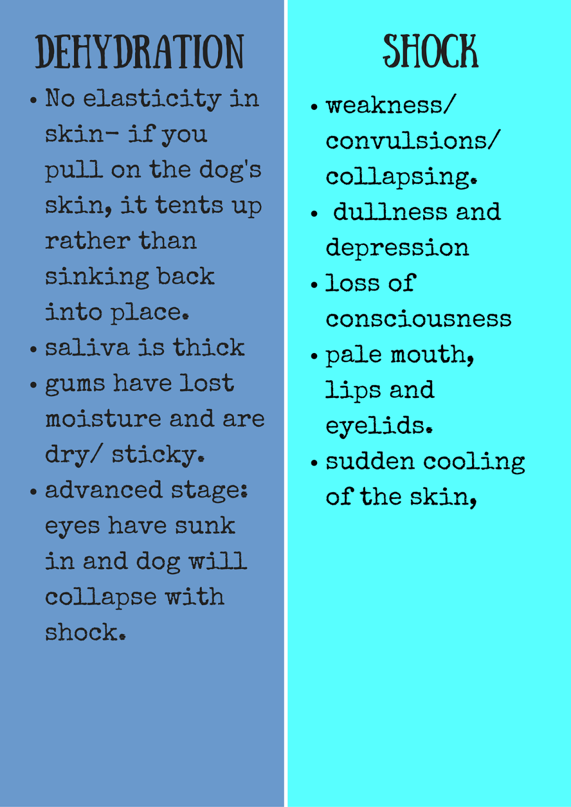 Bark City Doggy Daycare What To Do When Your Dog Vomits