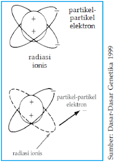 Gambaran skematis dari dampak radiasi ionis