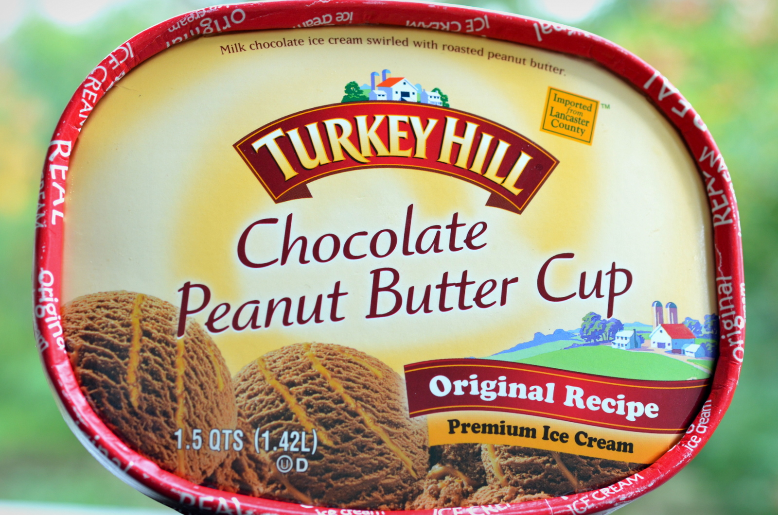 food and ice cream recipes REVIEW Turkey Hill Chocolate Peanut Butter