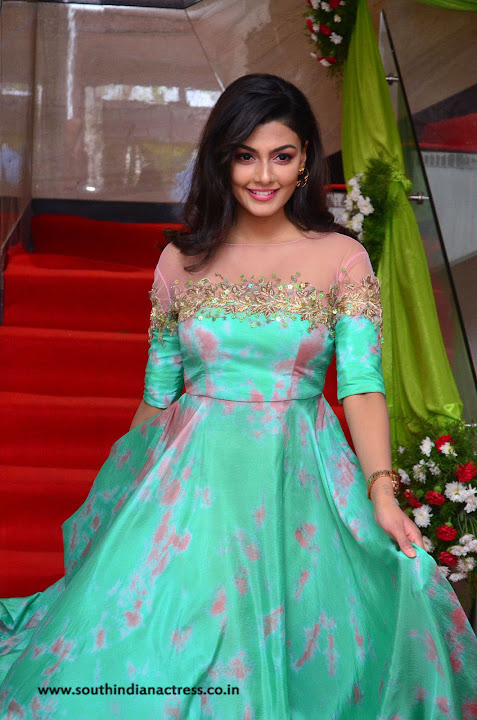 Anisha Ambrose