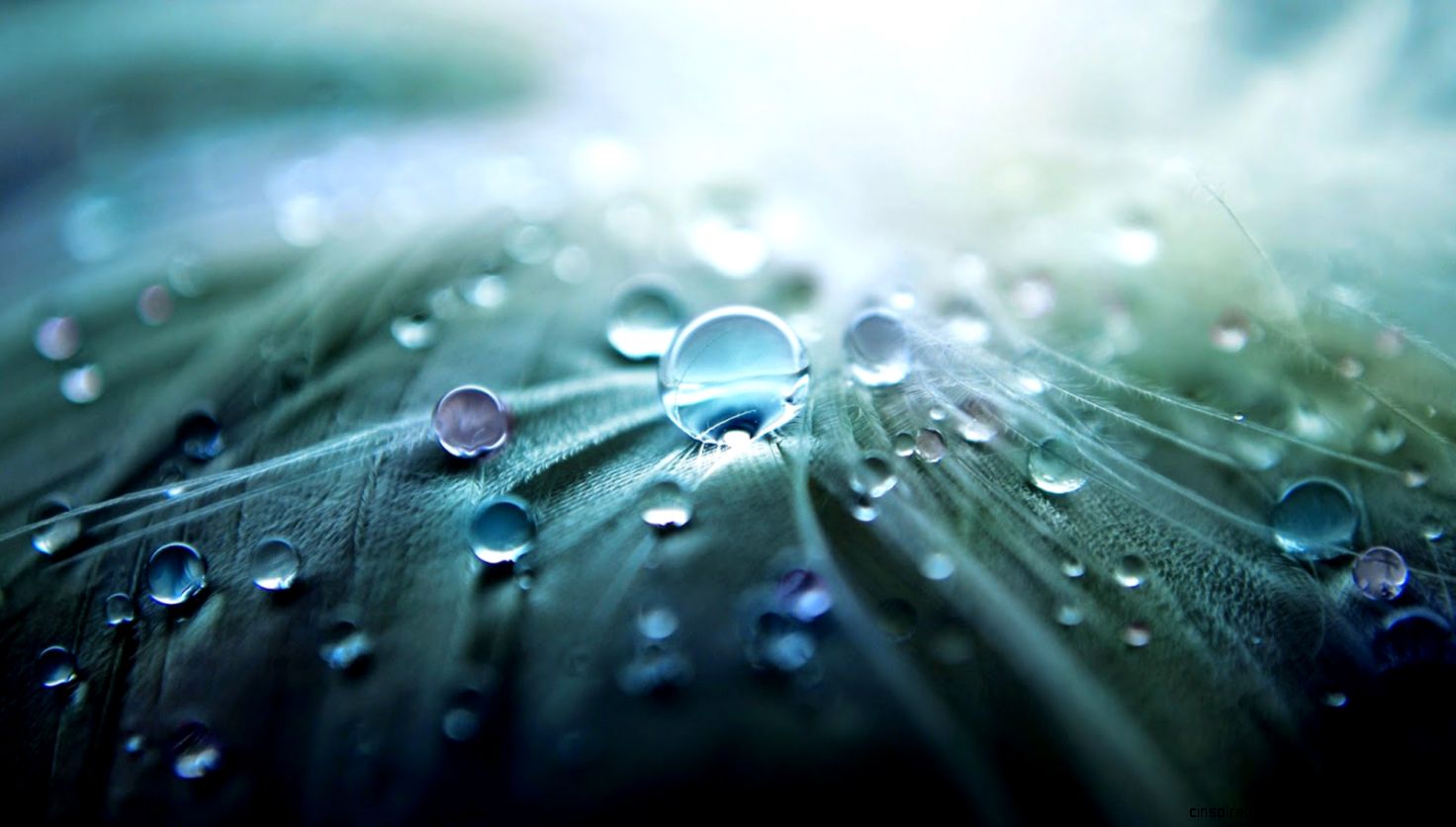 Download Free Live Wallpaper Download Free Wallpapers For Android