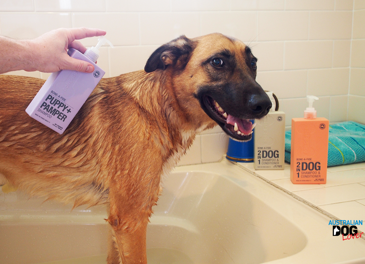BoneAFide Dog Shampoo Review Australian Dog Lover
