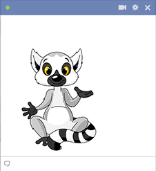 Lemur Facebook Sticker