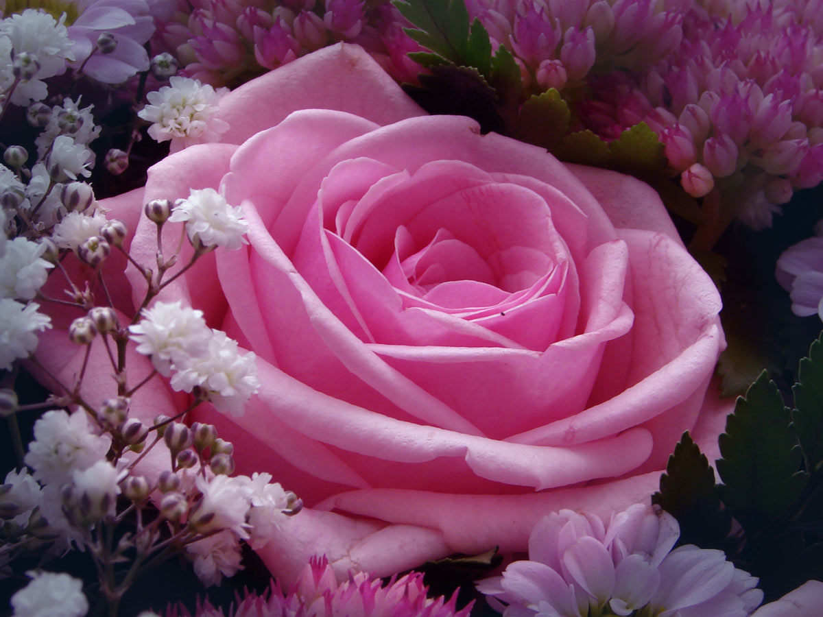 Love Clinic: Bunga Yang Cantik