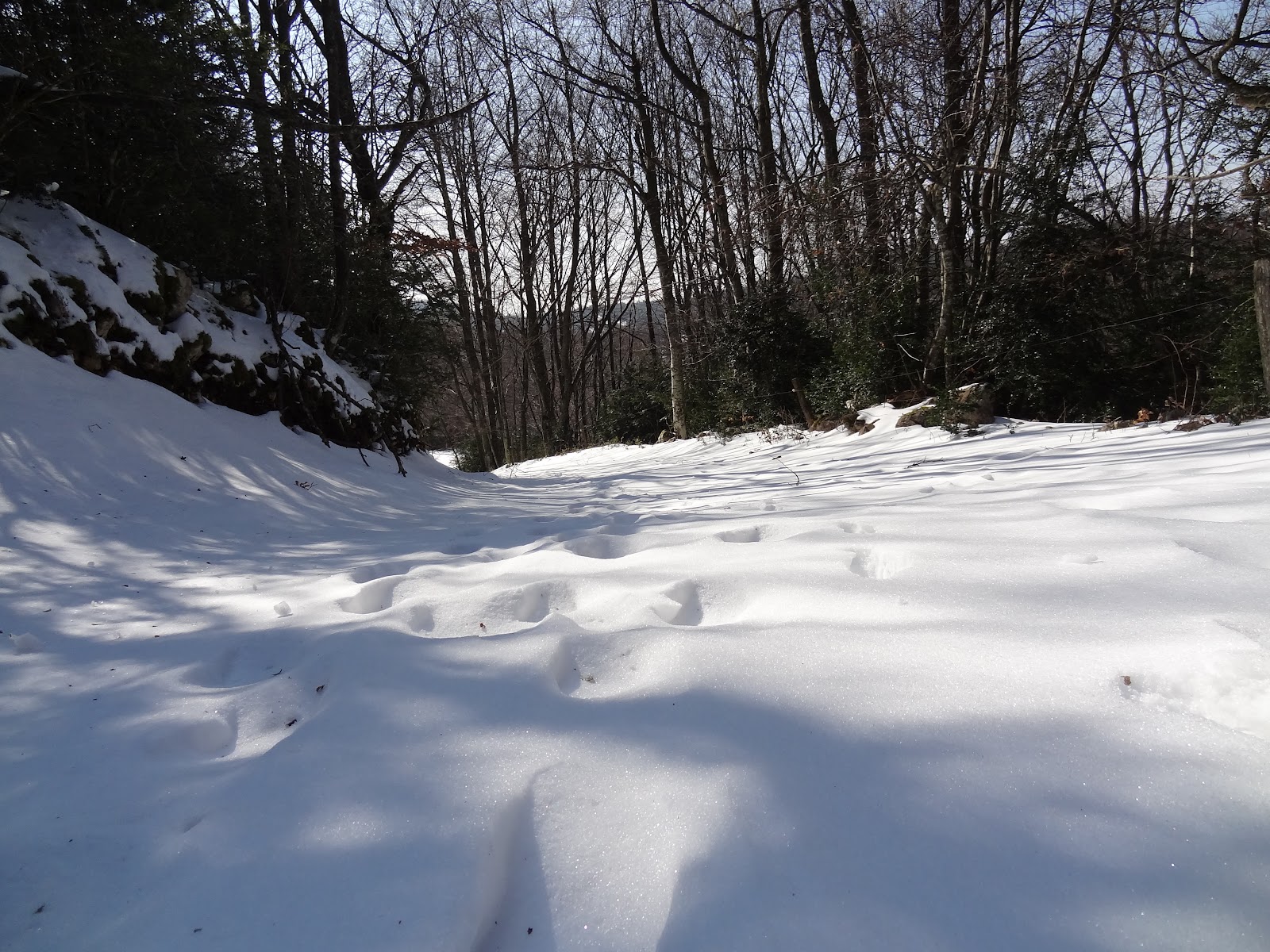 DROMESCAPE - Randonnées en Drôme et Escapades photographiques: Col des