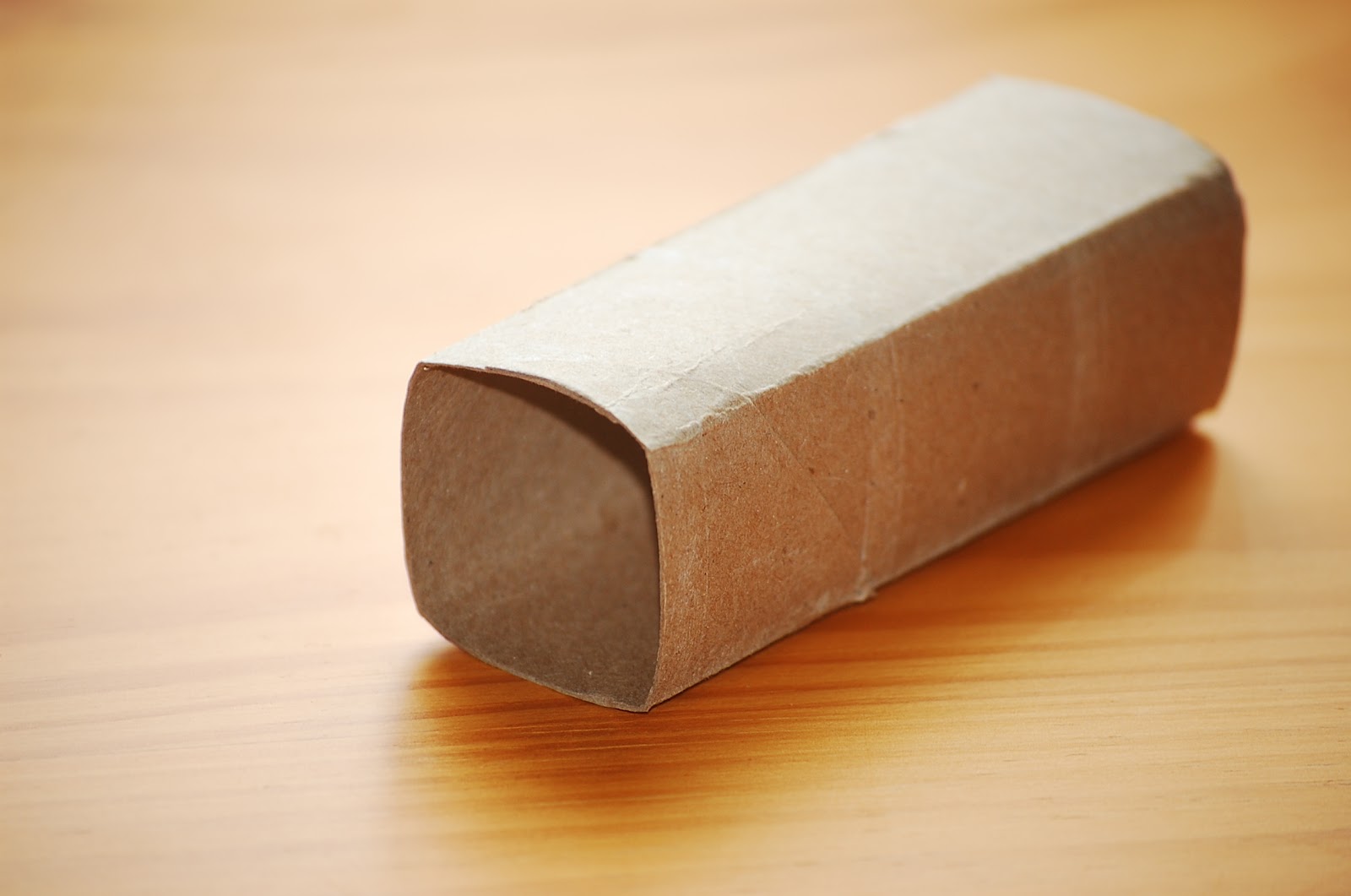 Repurposed Toilet Paper Roll Seed Starter Pots