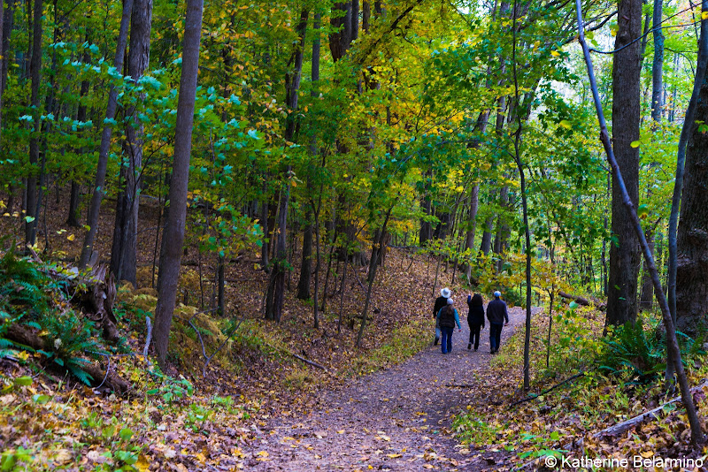 Hiking Trail Bull Run Mountains Natural Area Preserve