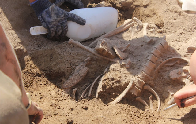 campus issues dating