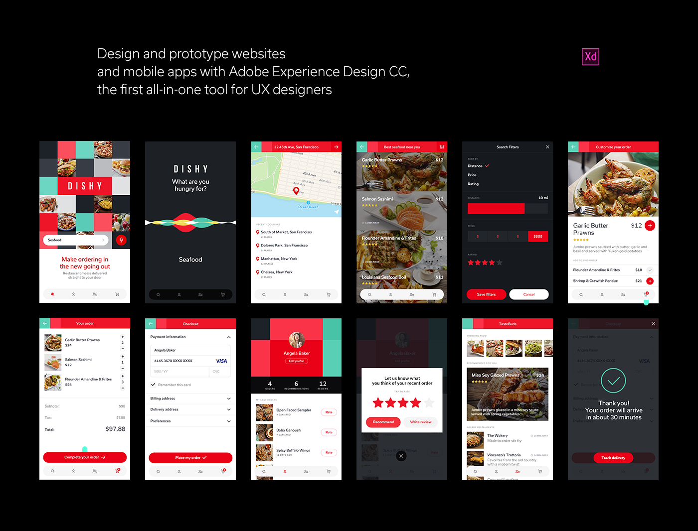 adobe x standard adobe x standard