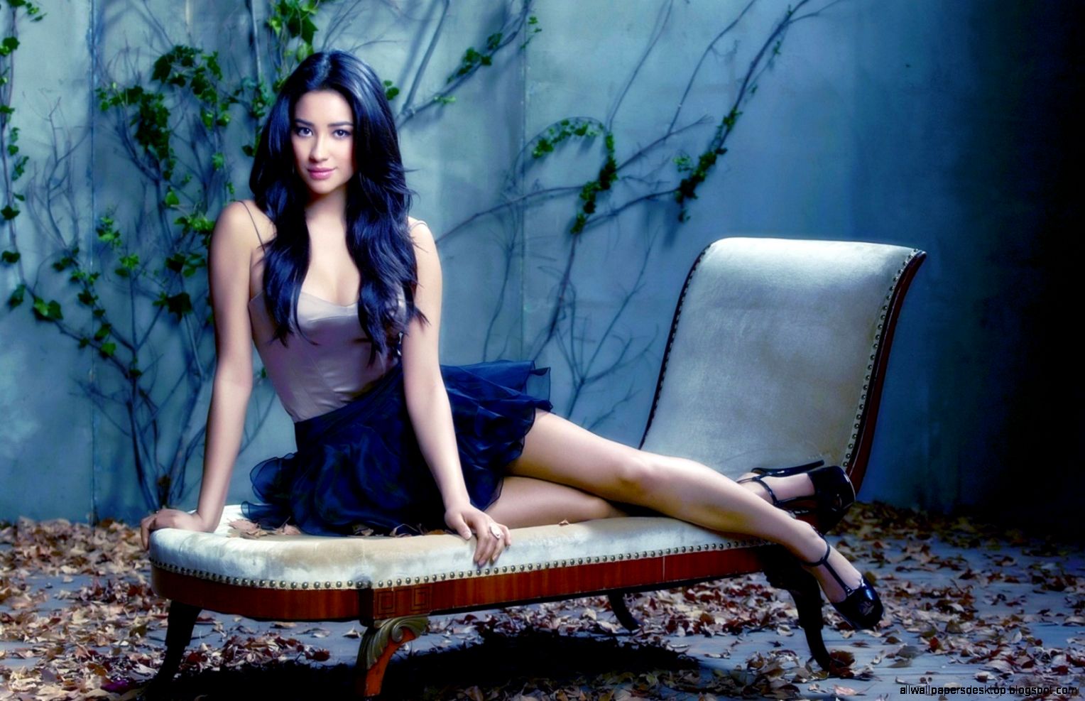 Shay Mitchell Hd Wallpapers