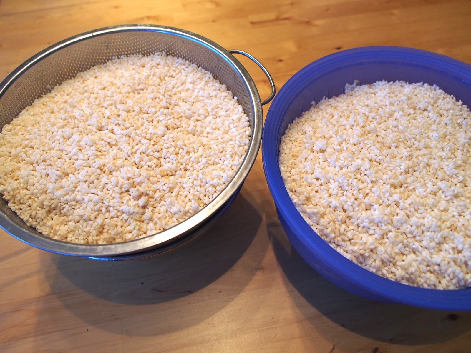 Homemade Rice Koji (kome kouji) in the US Homemade Rice Koji ( kome kouji) in the US