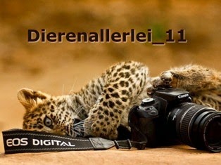  Thank you for watching this PowerPoint, and have respect for the PowerPoint creator.You can look at it but not edit, if the picture is gone, the PPS is still there, if not @ me.