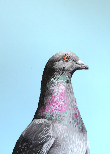 Gouache on paper painting of a pigeon