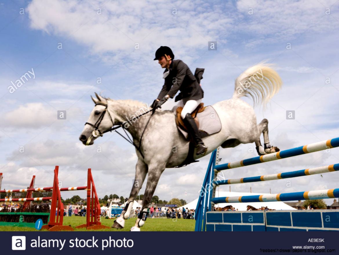 Equestrian Sport Horse Riders Show Jumping Competition Horse