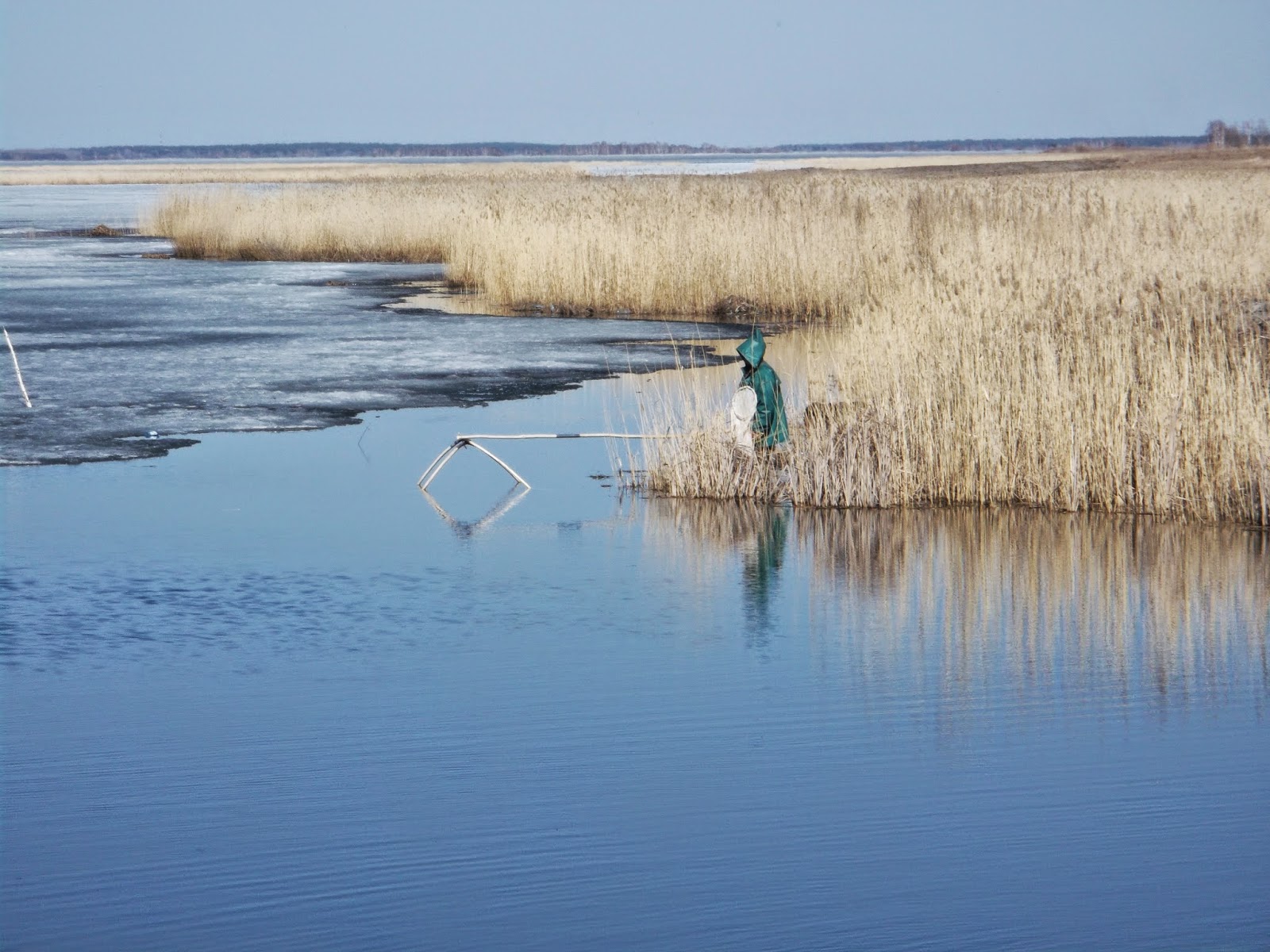 Село Мамонтово Алтайский край