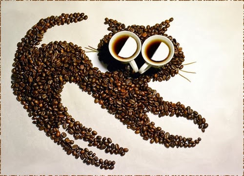 13-Cat-2-Irina-Nikitina-Music-Teacher-Photography-Coffee-Beans-and-Cups-Of-Coffee-www-designstack-co