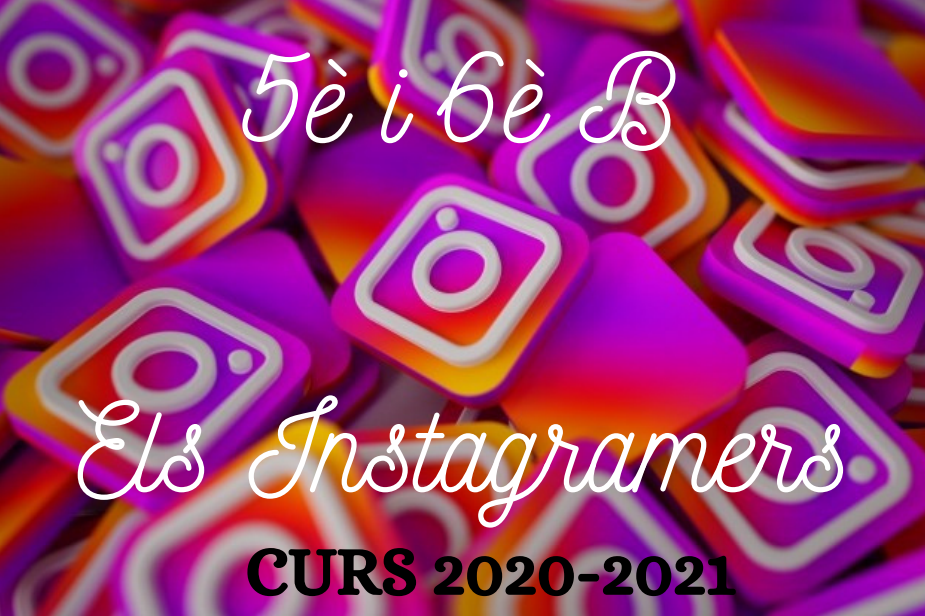 5è/6è B CURS 2020-2021