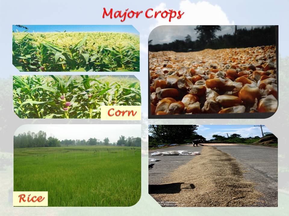 I Love Quirino ECONOMY