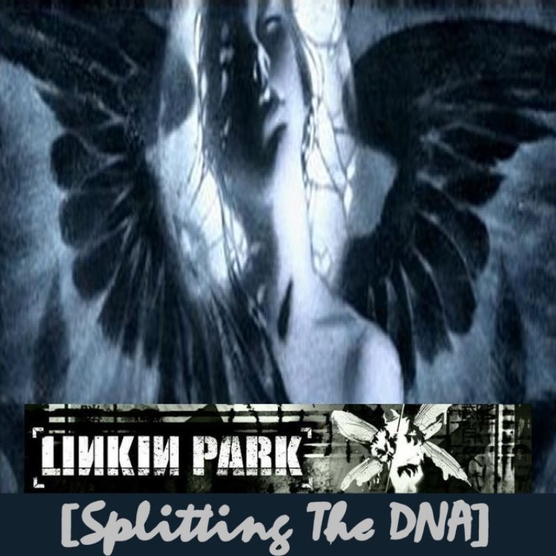 Download Linkin Park Song Album Splitting The DNA Download Linkin Park Song Album Splitting The DNA