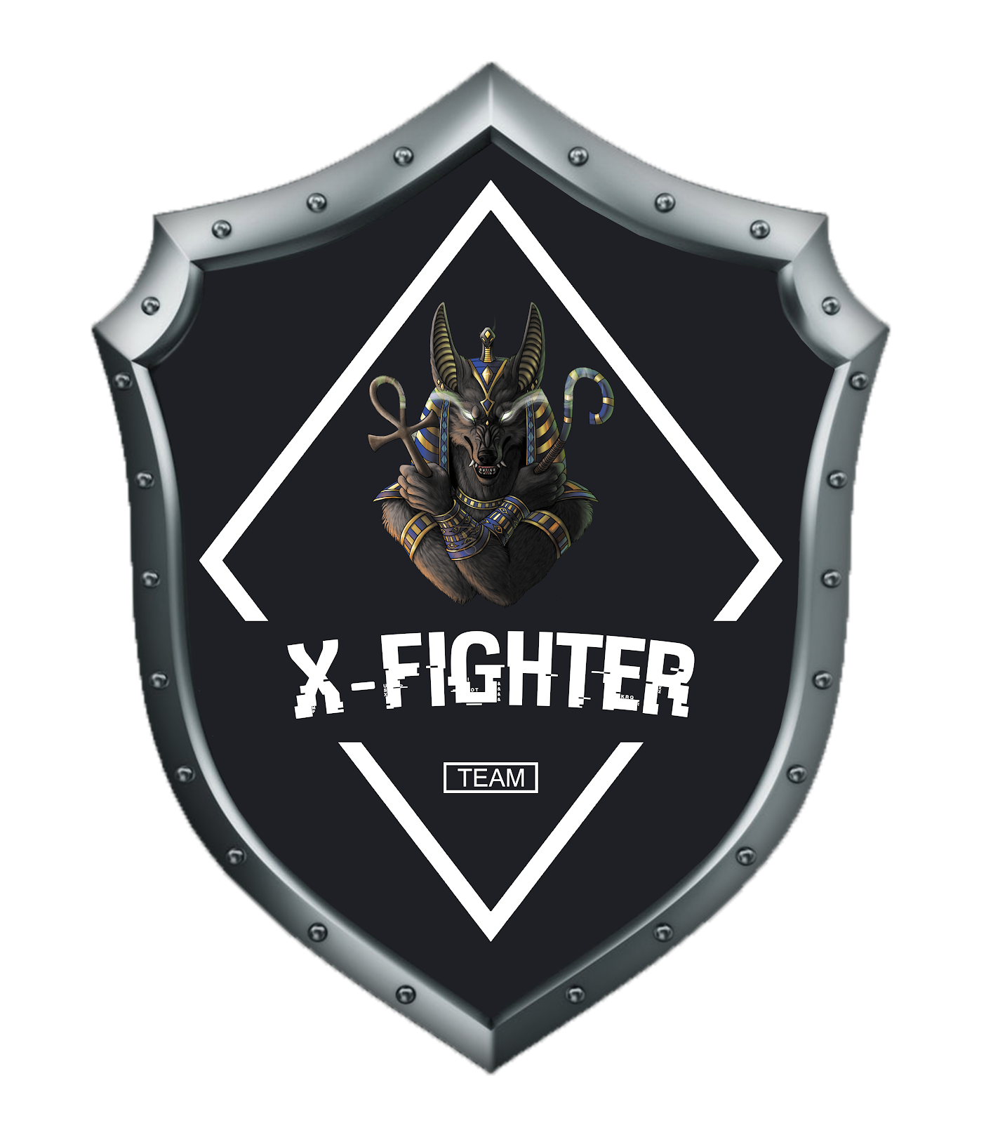 Team of X-Fighter