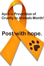 Join the ASPCA